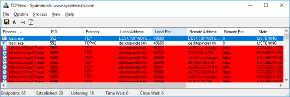 Screenshot of TCPview showing the browser processes in red.